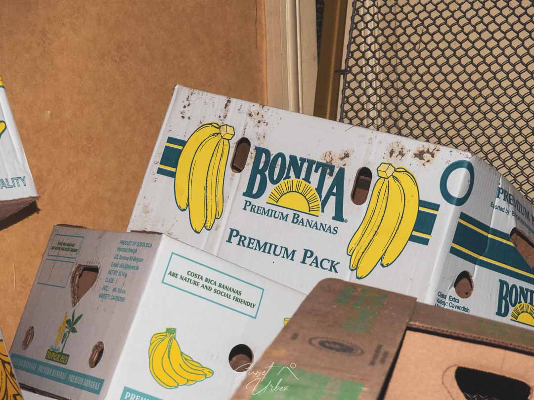 château banana et les caisses de bananes